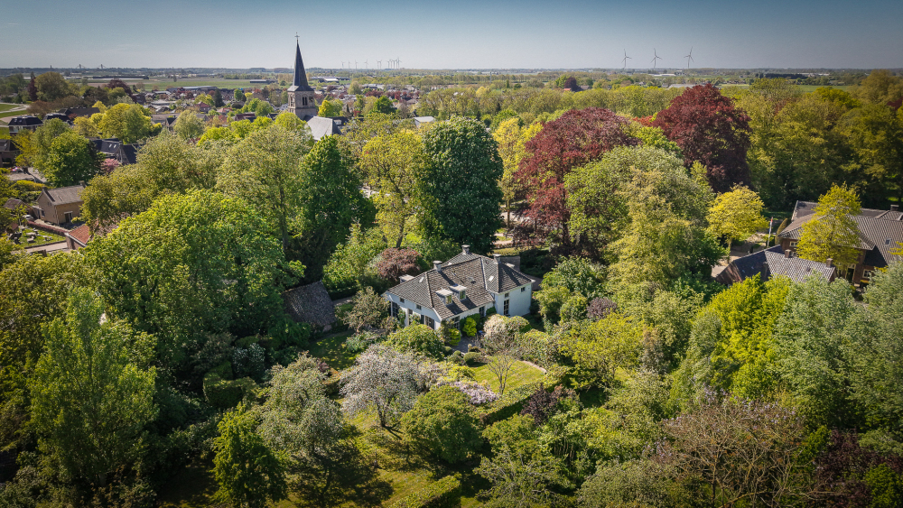 Foto 3 1000w