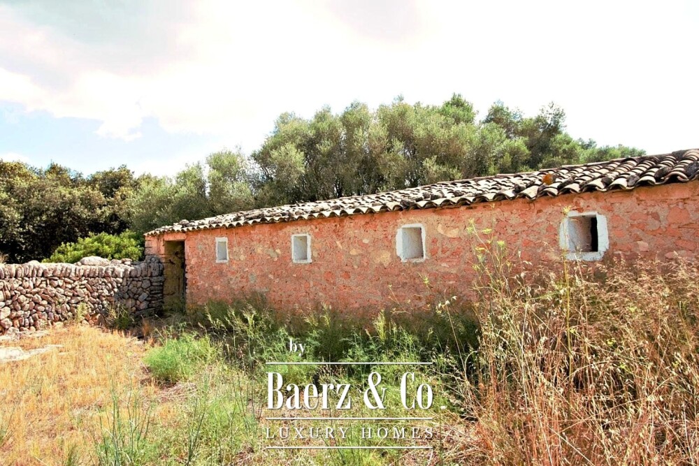 Foto 20 1000w