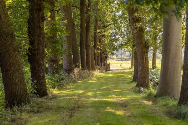 photo 42 Hupselse Esweg 3