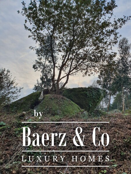 photo 7 Magnificent farm