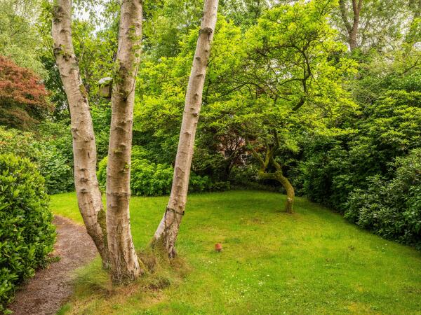 photo 32 Noordlaan 27