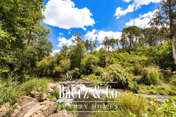 photo 15 Manor house in the Dão wine region