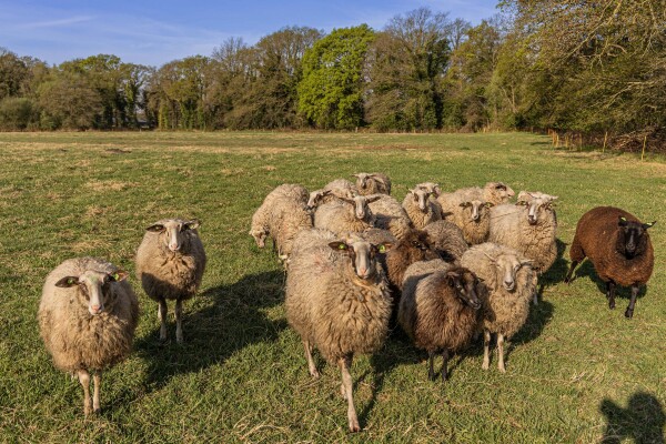 photo 12 Schoolkaterdijk 80