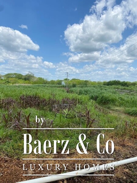 photo 39 Street 24 x 29 