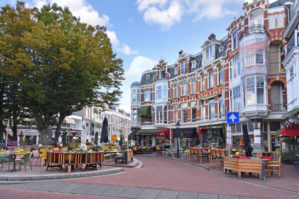 photo 40 Anna Paulownastraat 21