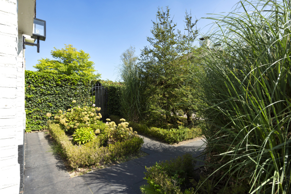 photo 39 Watermolensteeg 5