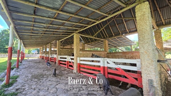 photo 22 Tablaje 3710 Rancho San Roman y Tablaje 1939 Rancho San Jose 