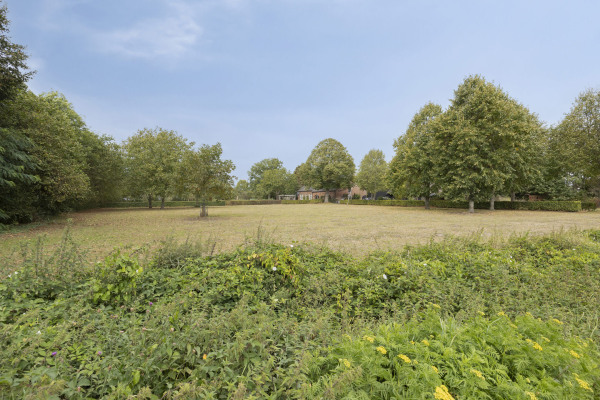 photo 3 Julianaweg 13