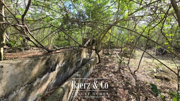 photo 20 Sagrado - Valladolid 