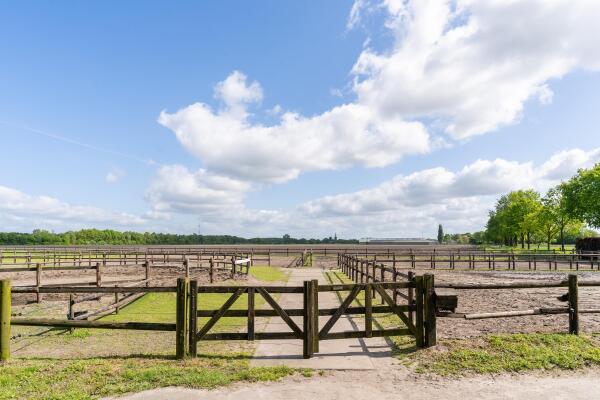 photo 52 Kapelstraat 12 14