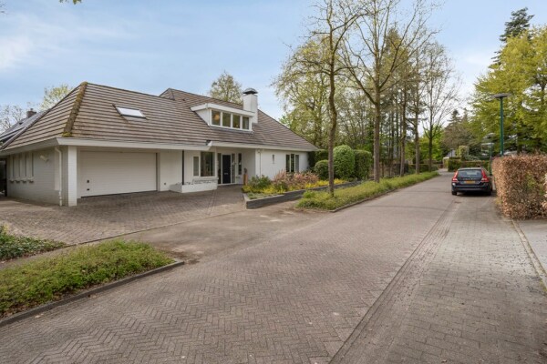 photo 79 Zilvermos 2