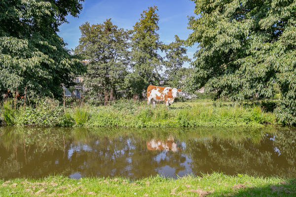 photo 11 Graafkade 9
